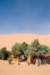 marocco_web80_small.jpg