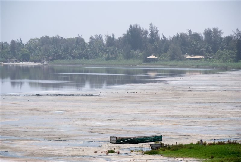 senegal_web340.jpg