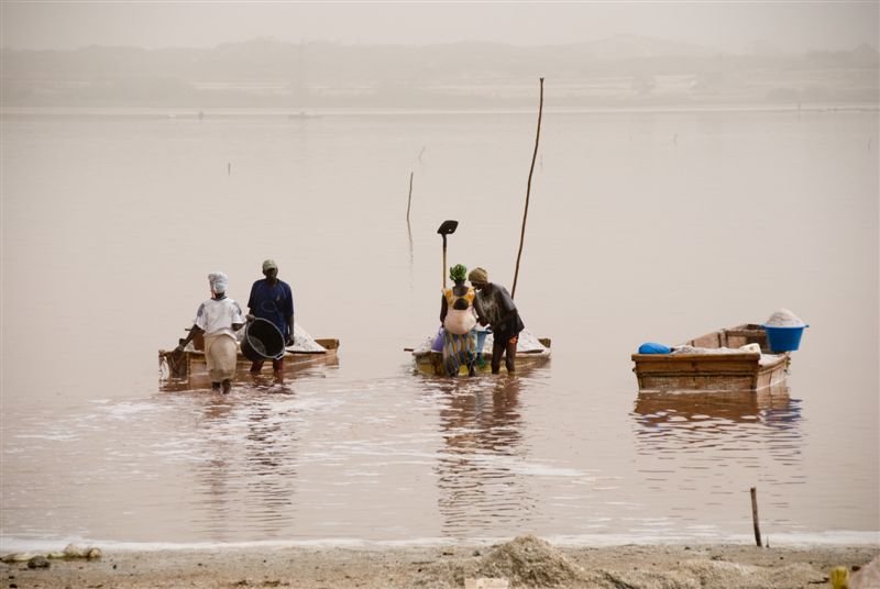 senegal_web415.jpg