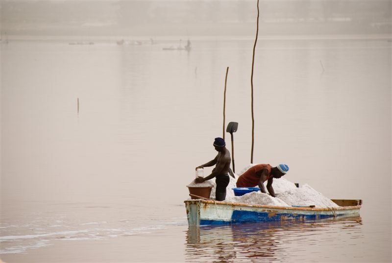 senegal_web416.jpg